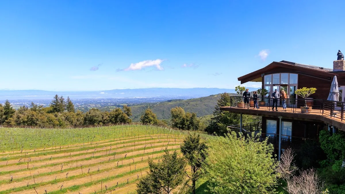 Thomas Fogarty Winery 2