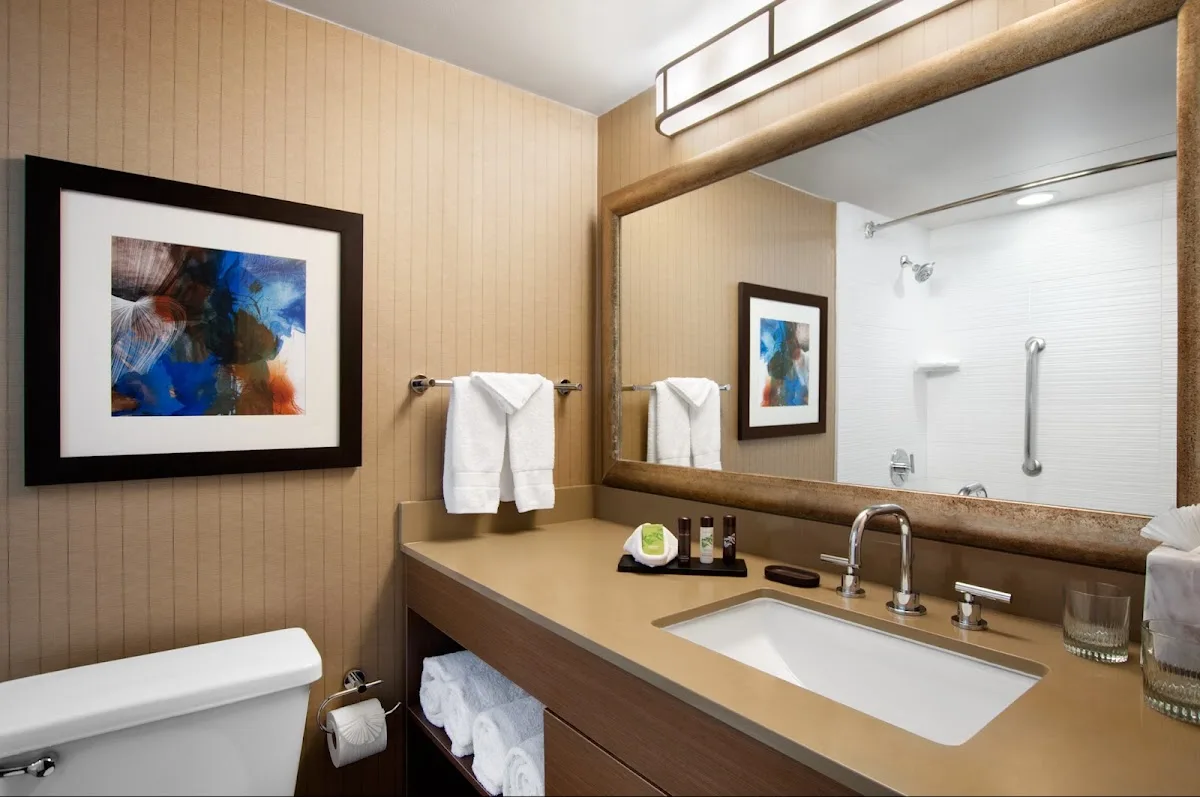 Embassy Suites by Hilton Dallas DFW Airport South 5