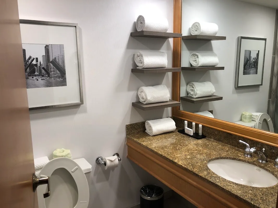 Embassy Suites by Hilton Chicago O'Hare Rosemont 4