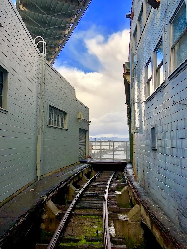 Pier 24 Photography 3