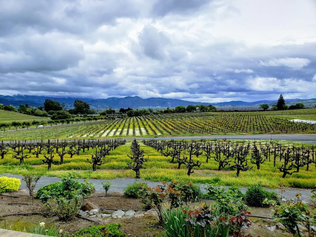 Francis Ford Coppola Winery Geyserville 4