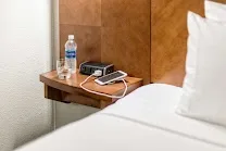 Dog-friendly accommodations