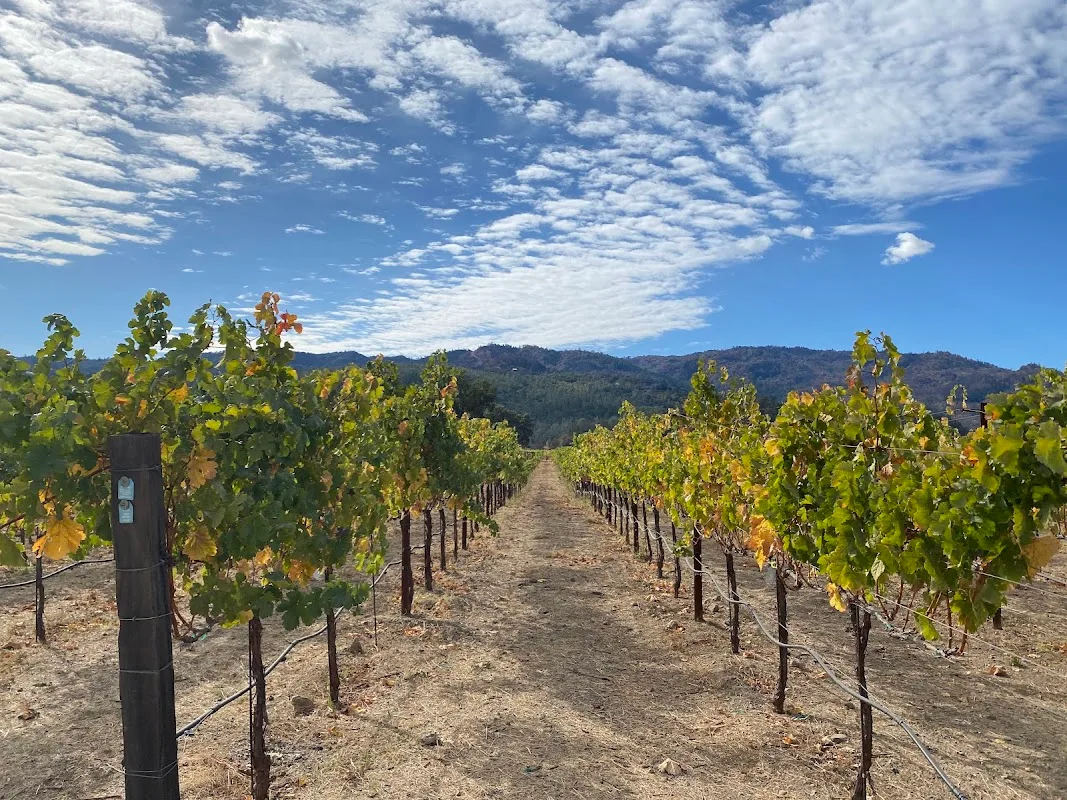 Hall Wines 4