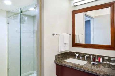 Marriott Park Ridge 5