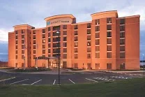Dog-friendly accommodations