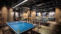 Ping-Pong Tables as Central Feature