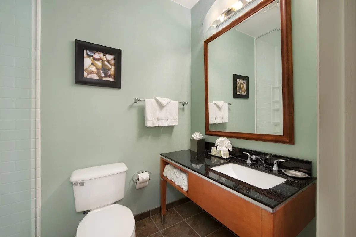 Hotel Indigo San Antonio-Riverwalk by IHG 5