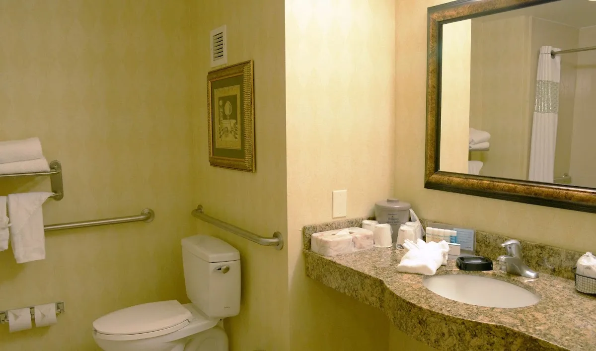 Hampton Inn & Suites Birmingham-Hoover-Galleria 4