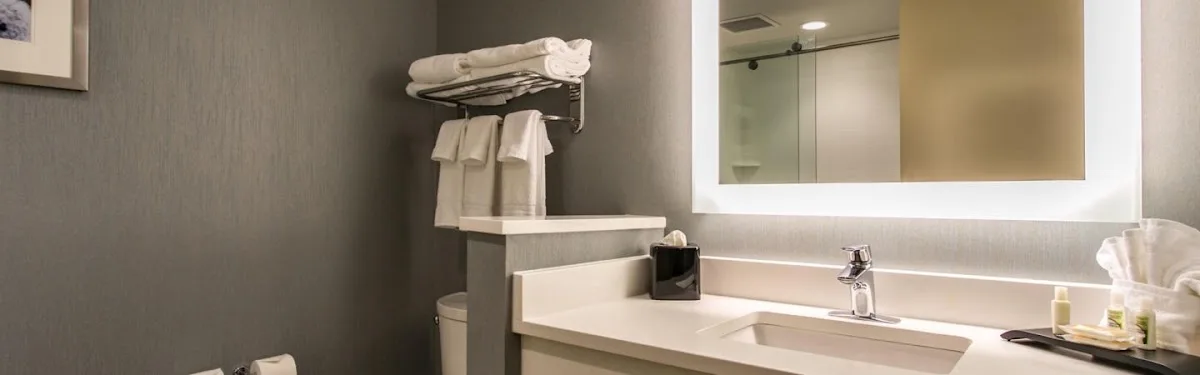 Holiday Inn & Suites Chattanooga Downtown by IHG 4