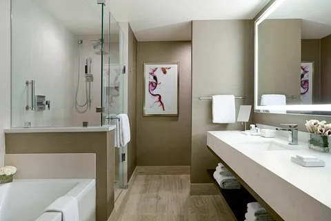 JW Marriott Minneapolis Mall of America 5