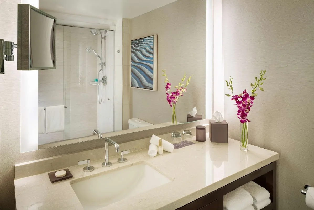 Hyatt Regency San Francisco Airport 4