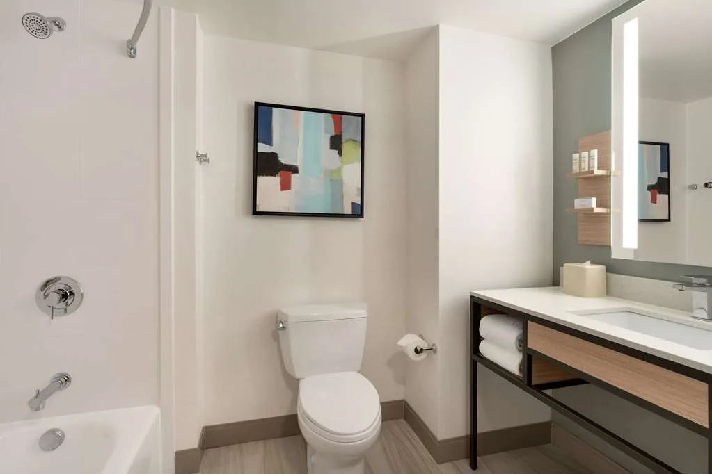 Hilton Garden Inn Tysons Corner 3