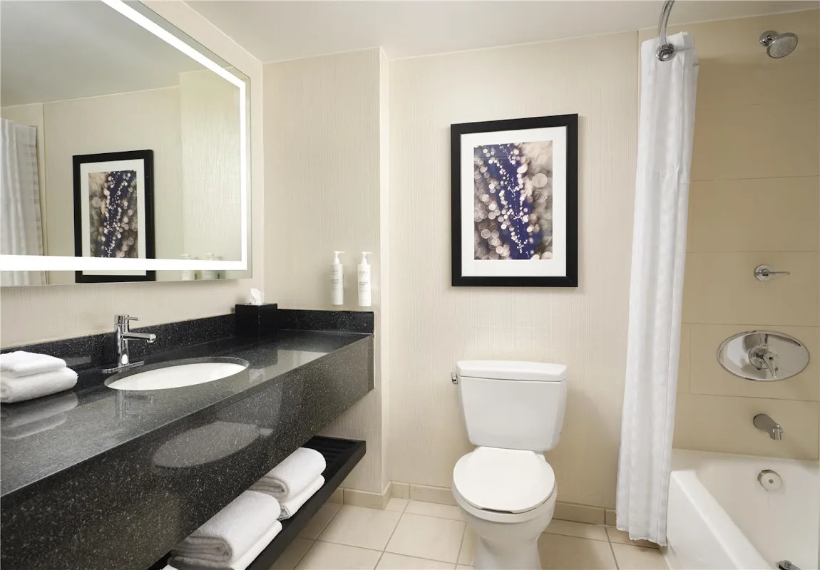 Embassy Suites by Hilton Chicago Downtown Magnificent Mile 5