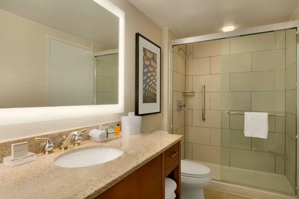 Hilton Chicago/Magnificent Mile Suites 4