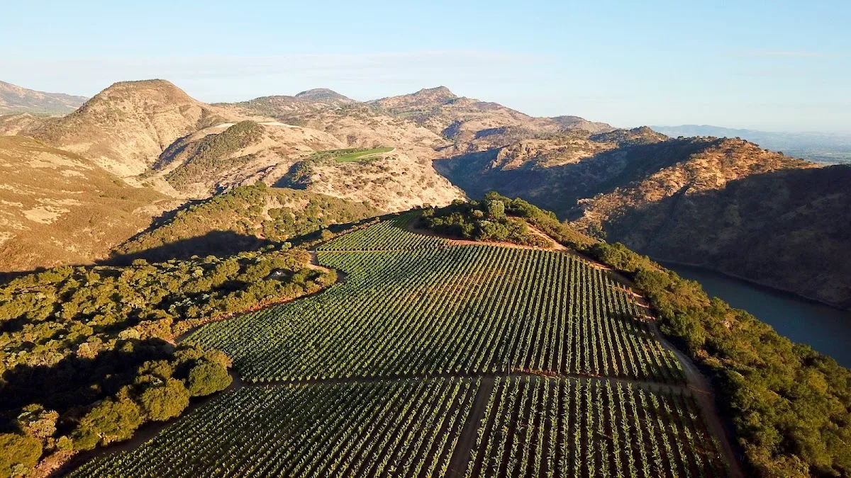Mark Herold Wines 2