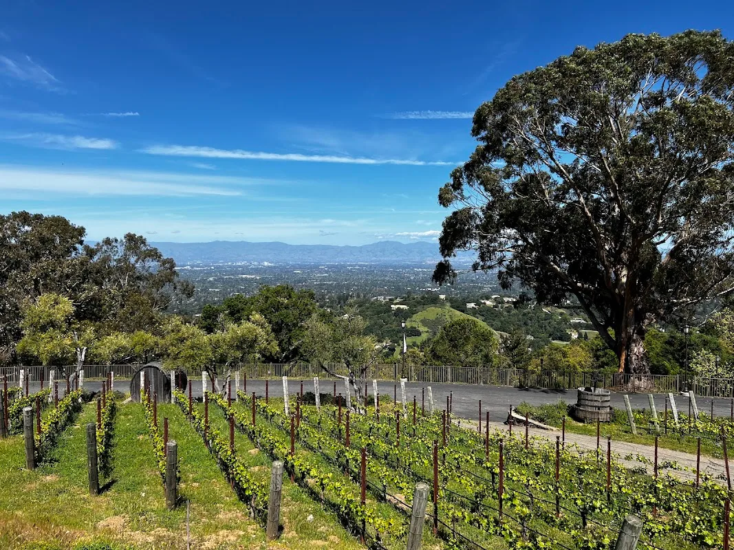 Mountain Winery Saratoga 2