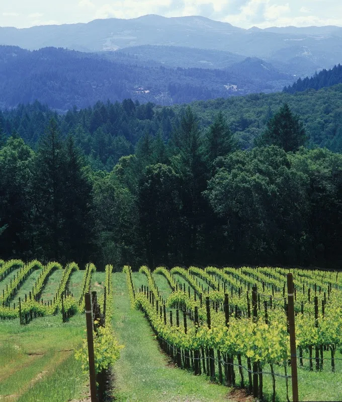 Schramsberg Vineyards 2