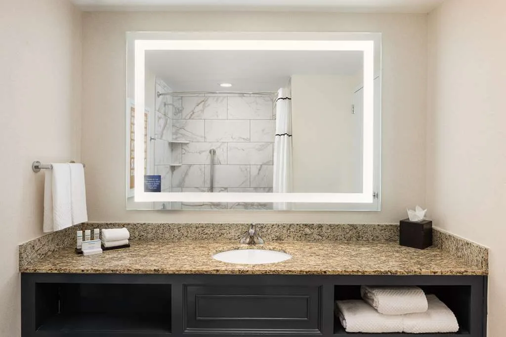 Embassy Suites by Hilton Atlanta Buckhead 4
