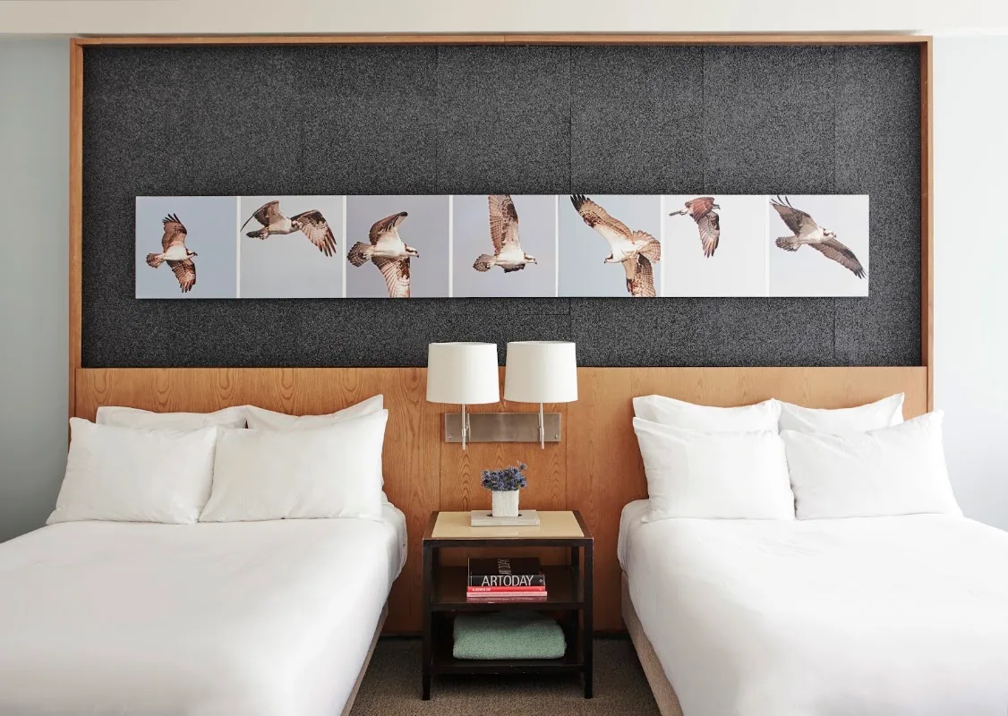 21c Museum Hotel Louisville 4