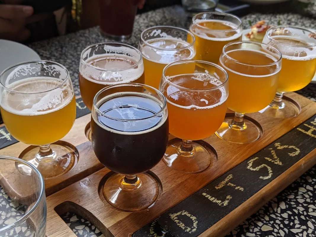 Magnolia Brewing Dogpatch 2