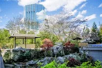 Japanese Zen Garden with Waterfall
