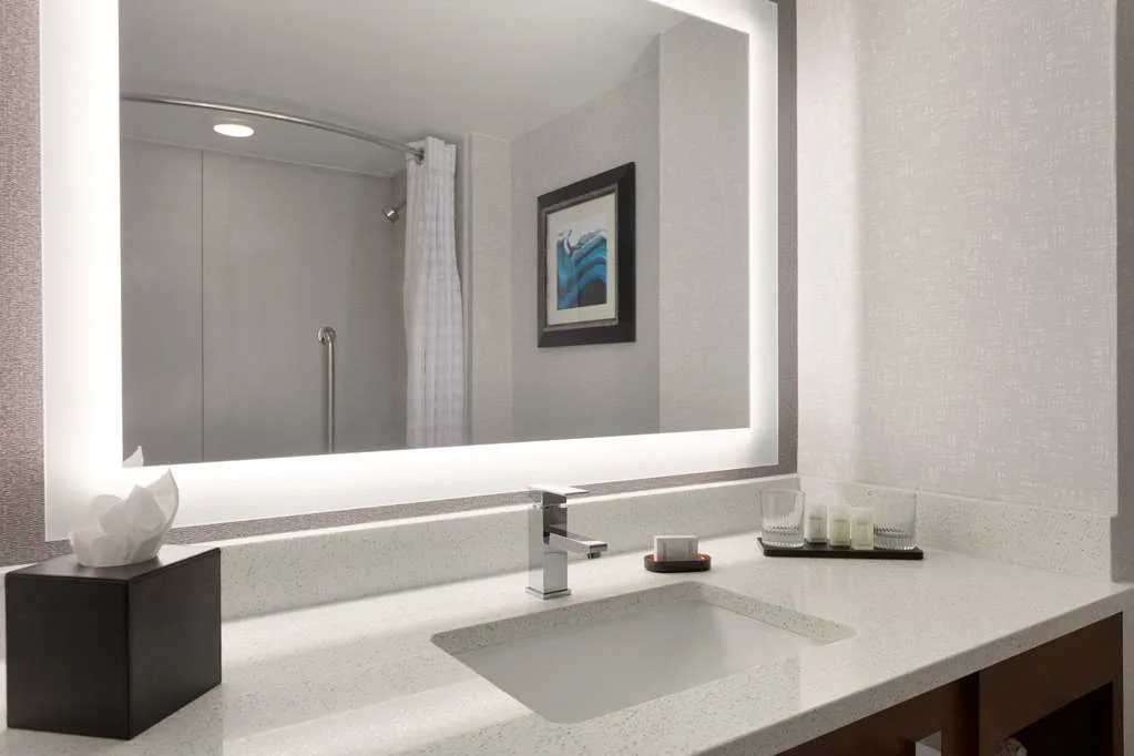 Embassy Suites by Hilton Atlanta Airport 5