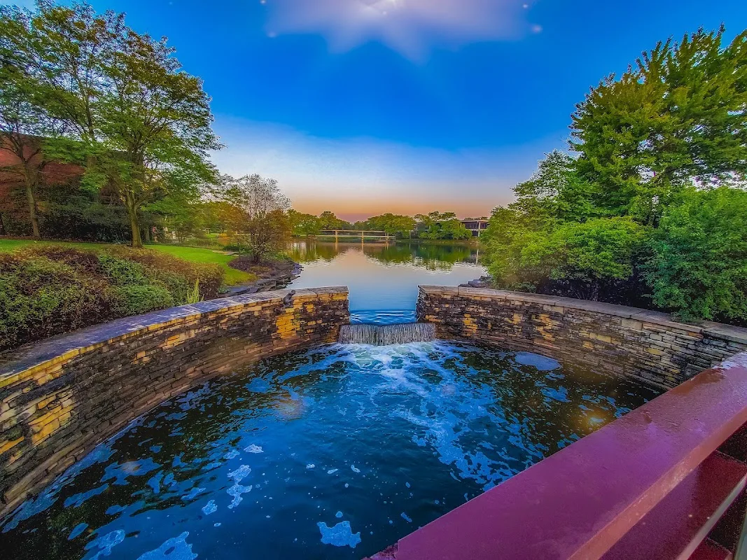 Hyatt Lodge Oak Brook Chicago 3