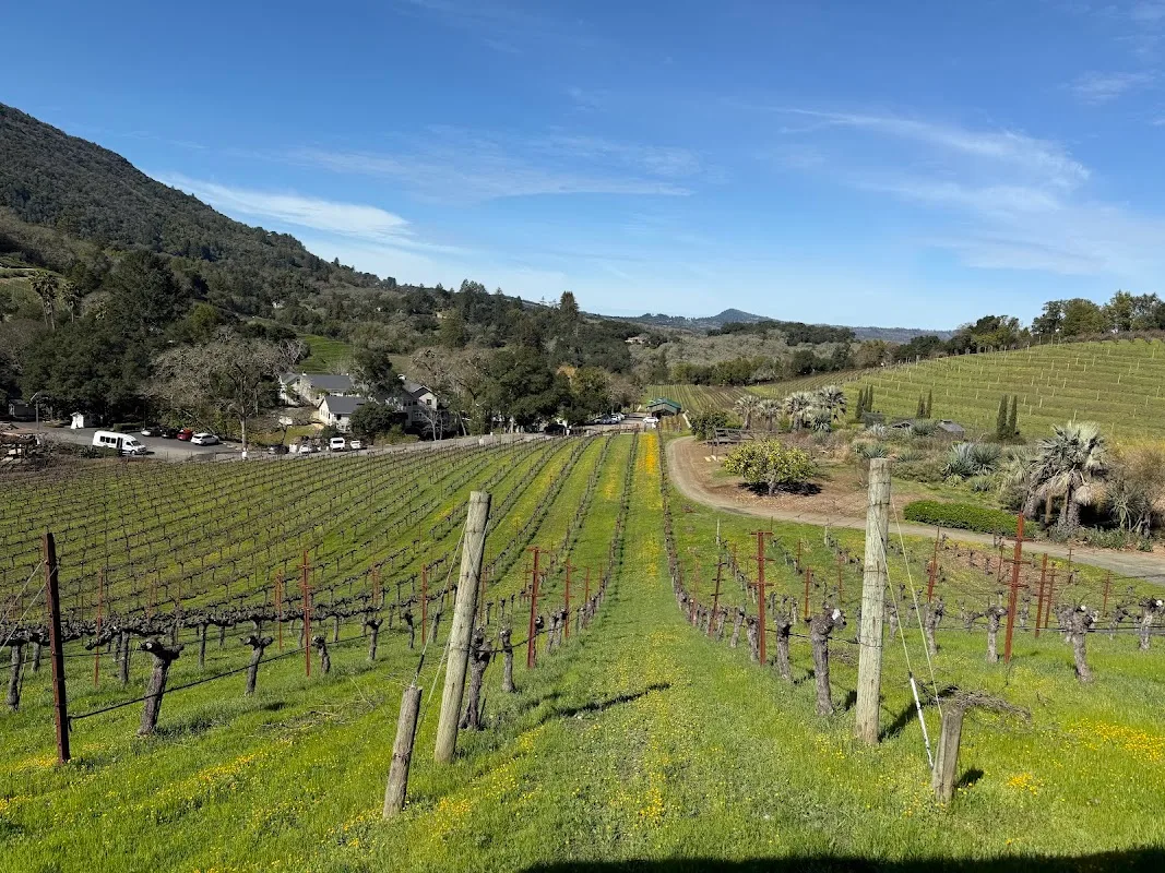 Benziger Family Winery Glen Ellen 4