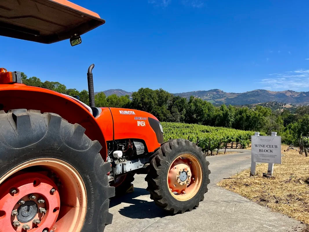 Benziger Family Winery Glen Ellen 5