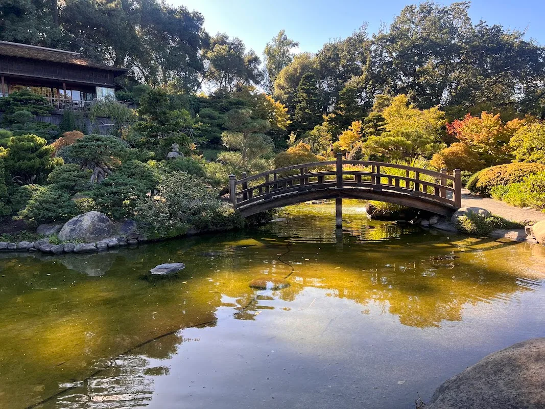 Hakone Gardens 2