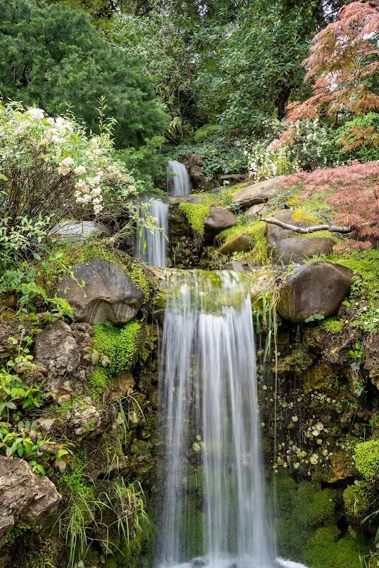 Hakone Gardens 4