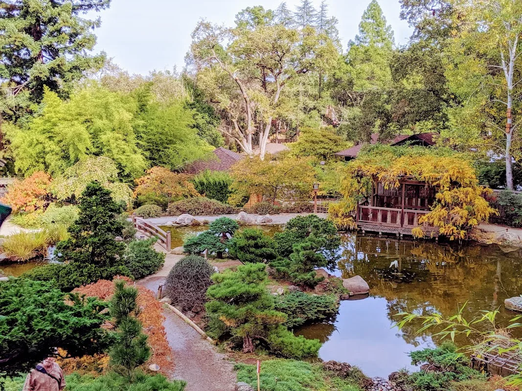 Hakone Gardens 3