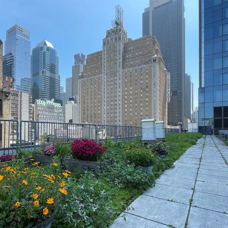 InterContinental New York Times Square by IHG 4