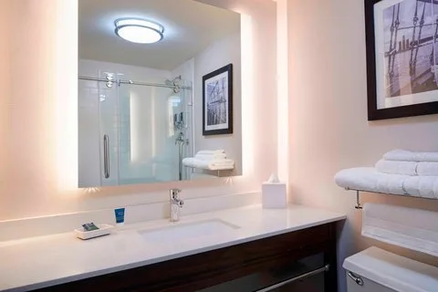 Four Points by Sheraton Detroit Novi 4
