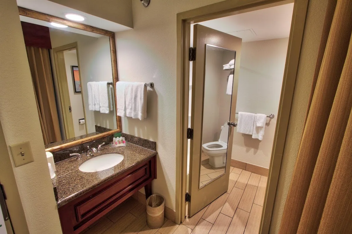 Holiday Inn Tampa Westshore - Airport Area by IHG 4