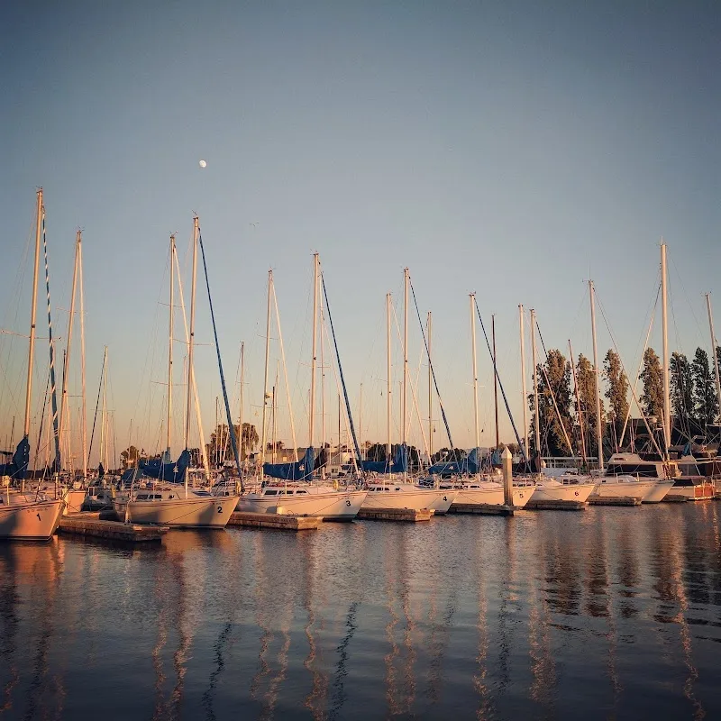 Sequoia Yacht Club 2