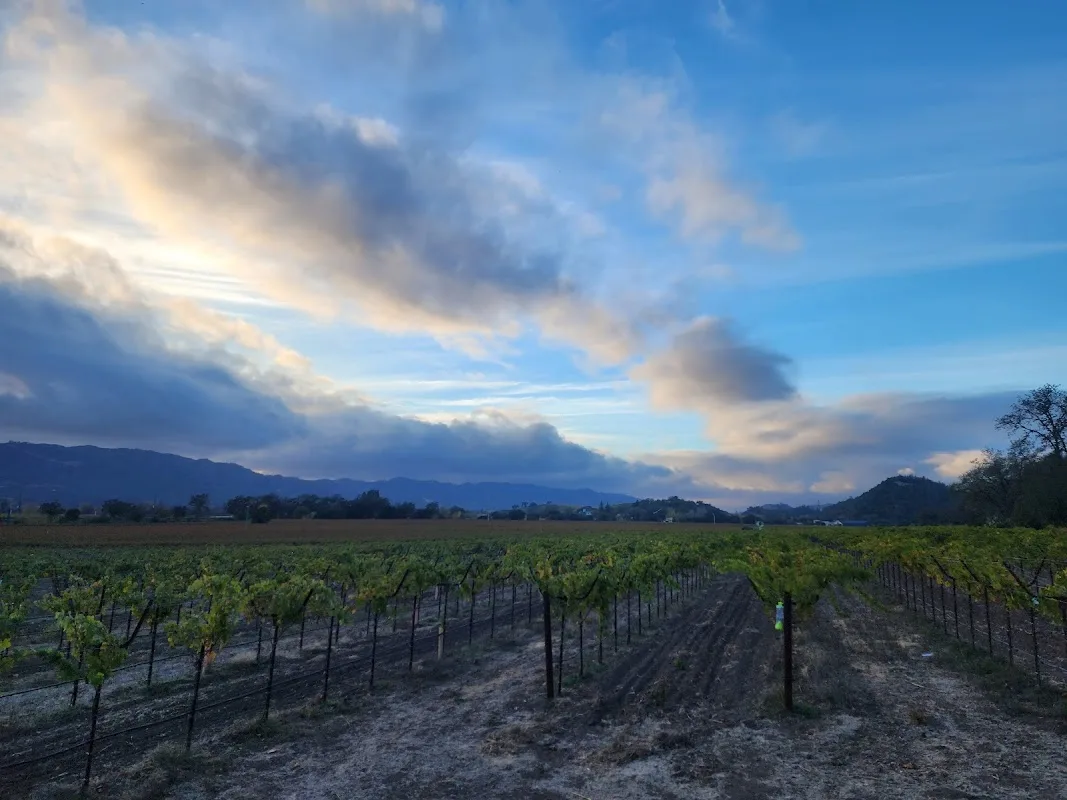 Mumm Napa 4