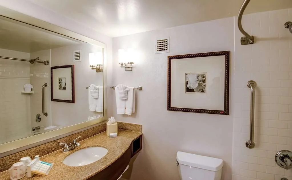Hilton Garden Inn Tampa Ybor Historic District 4