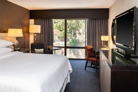 Sheraton Mission Valley San Diego Hotel 5