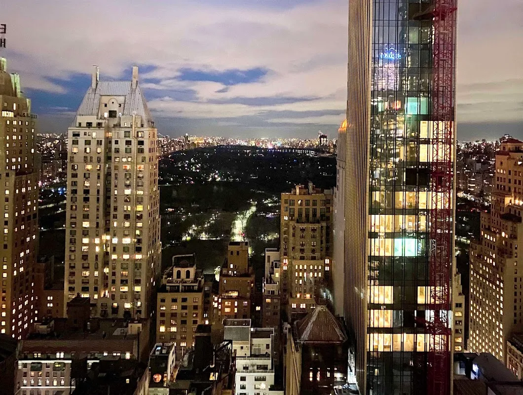 Thompson Central Park New York, by Hyatt 2