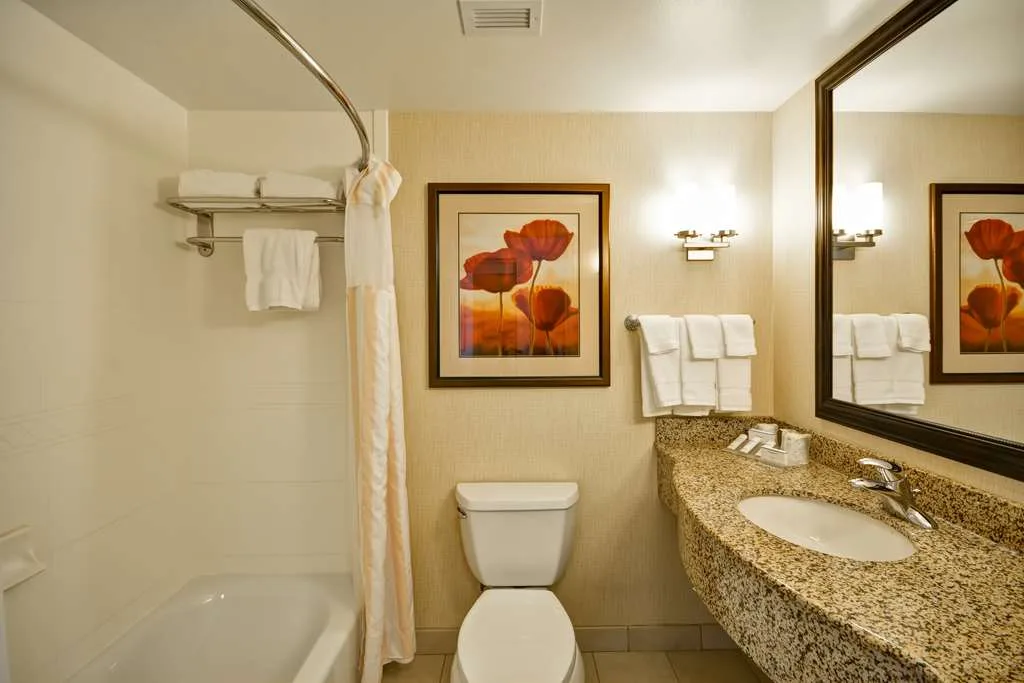 Hilton Garden Inn Tampa/Riverview/Brandon 4