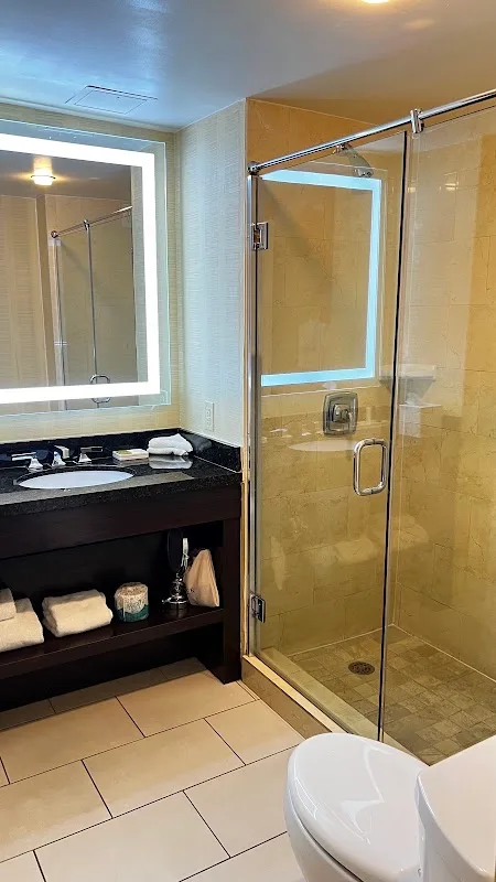 Hilton Tampa Downtown 4